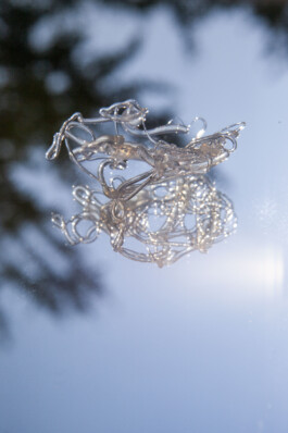 FORMS OF THE FORMLESS