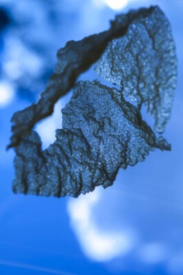 FORMS OF THE FORMLESS