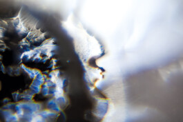 FORMS OF THE FORMLESS