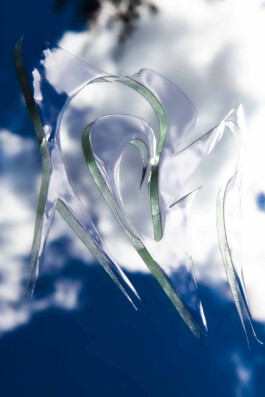 FORMS OF THE FORMLESS