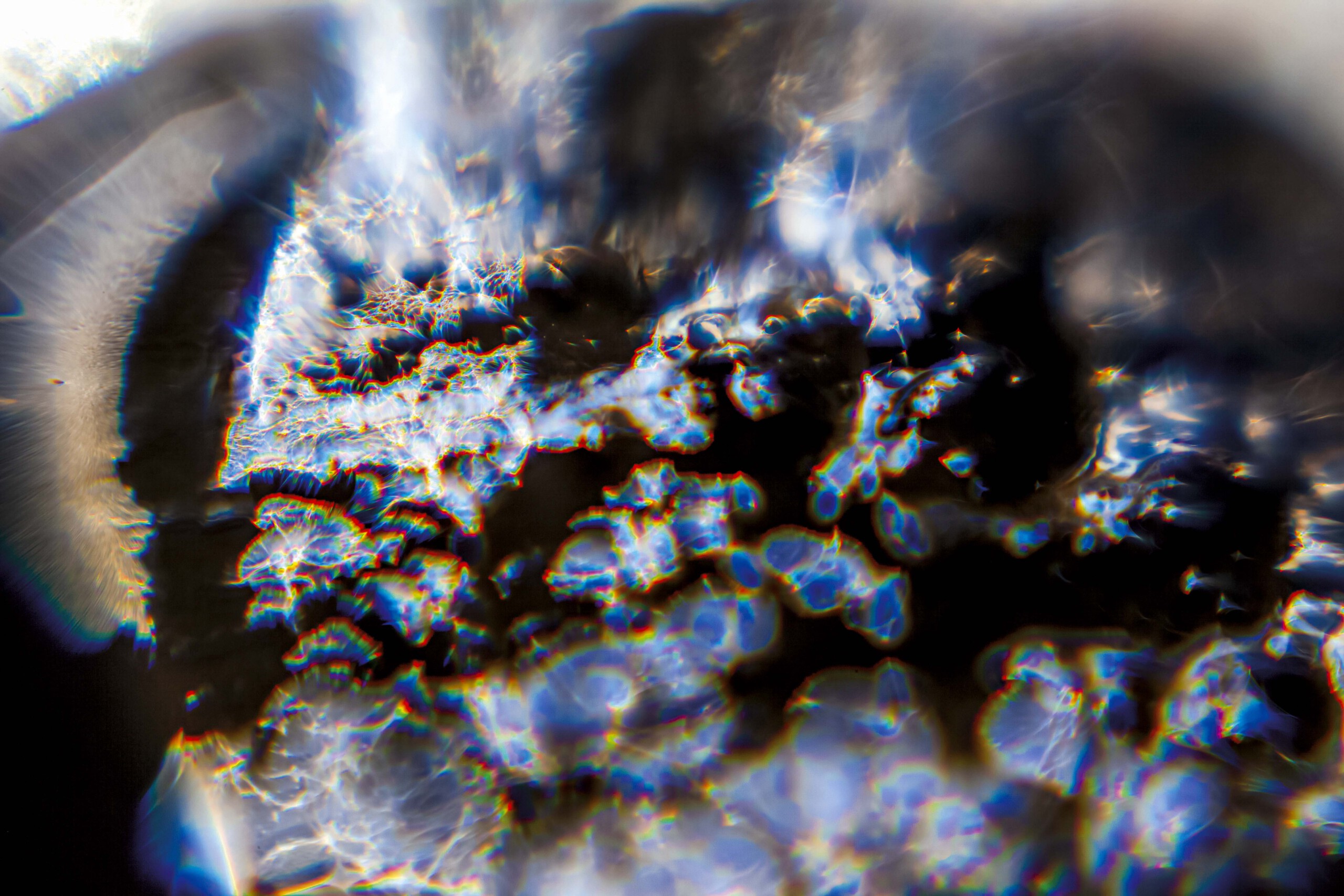 FORMS OF THE FORMLESS