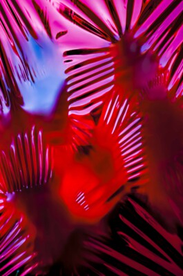 FORMS OF THE FORMLESS