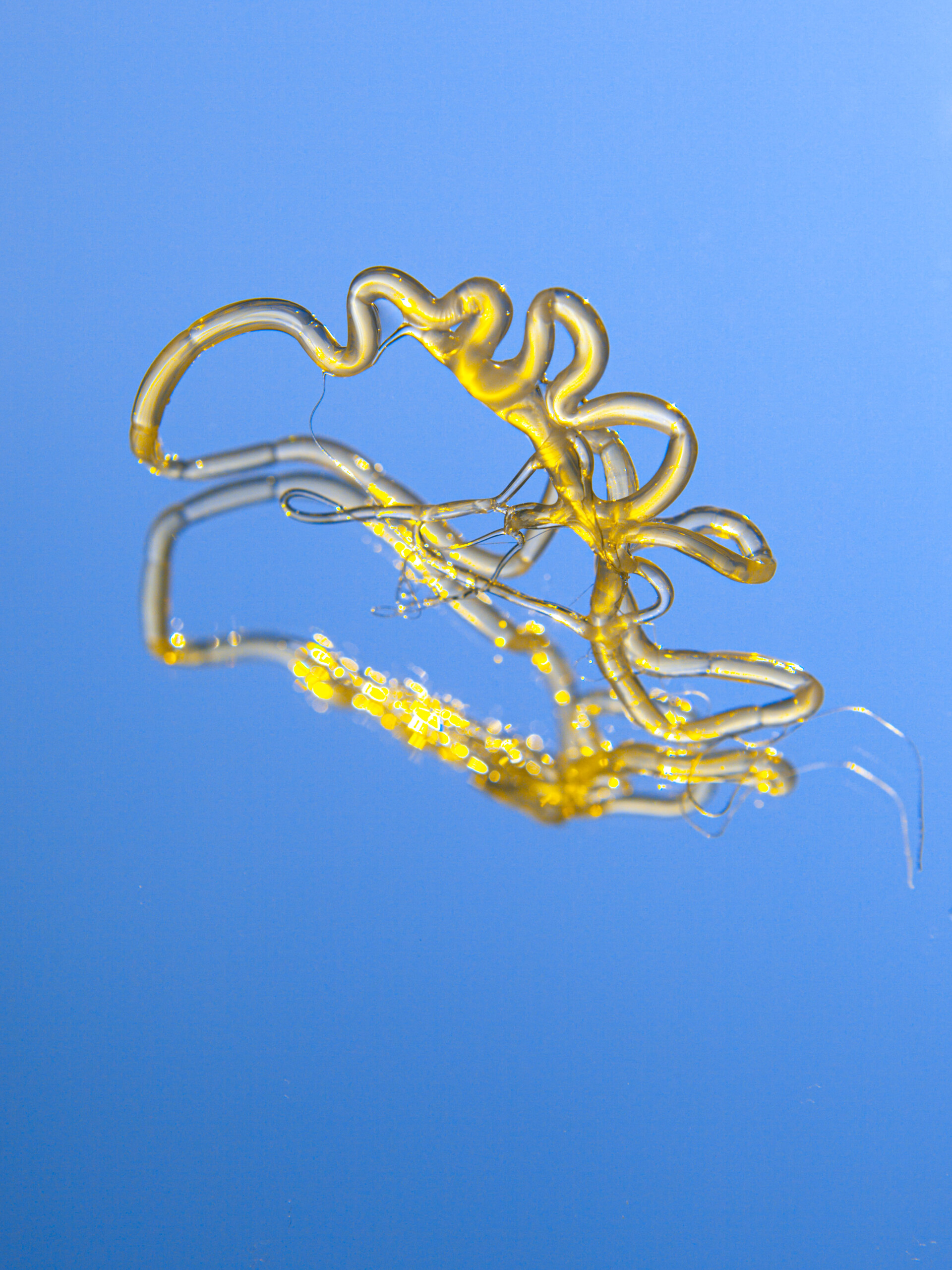 FORMS OF THE FORMLESS