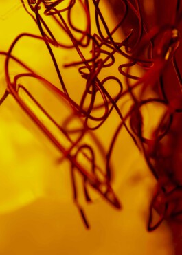 FORMS OF THE FORMLESS