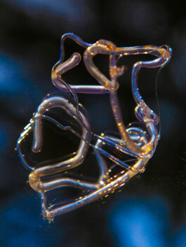 FORMS OF THE FORMLESS