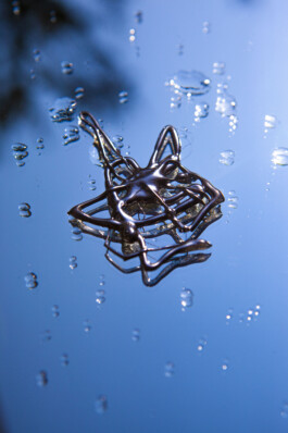 FORMS OF THE FORMLESS