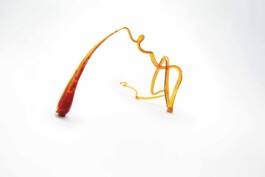 FORMS OF THE FORMLESS