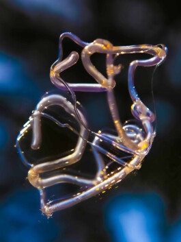 FORMS OF THE FORMLESS