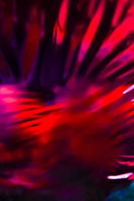 FORMS OF THE FORMLESS