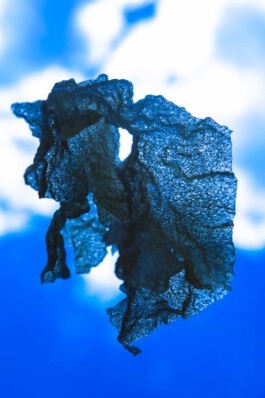 FORMS OF THE FORMLESS