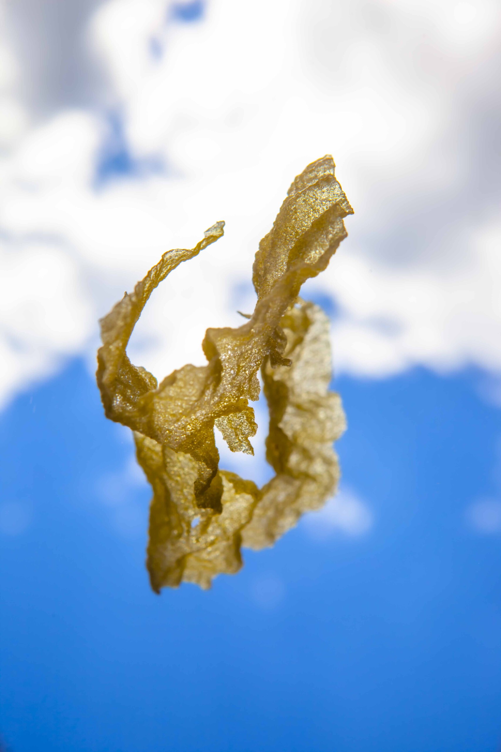 FORMS OF THE FORMLESS