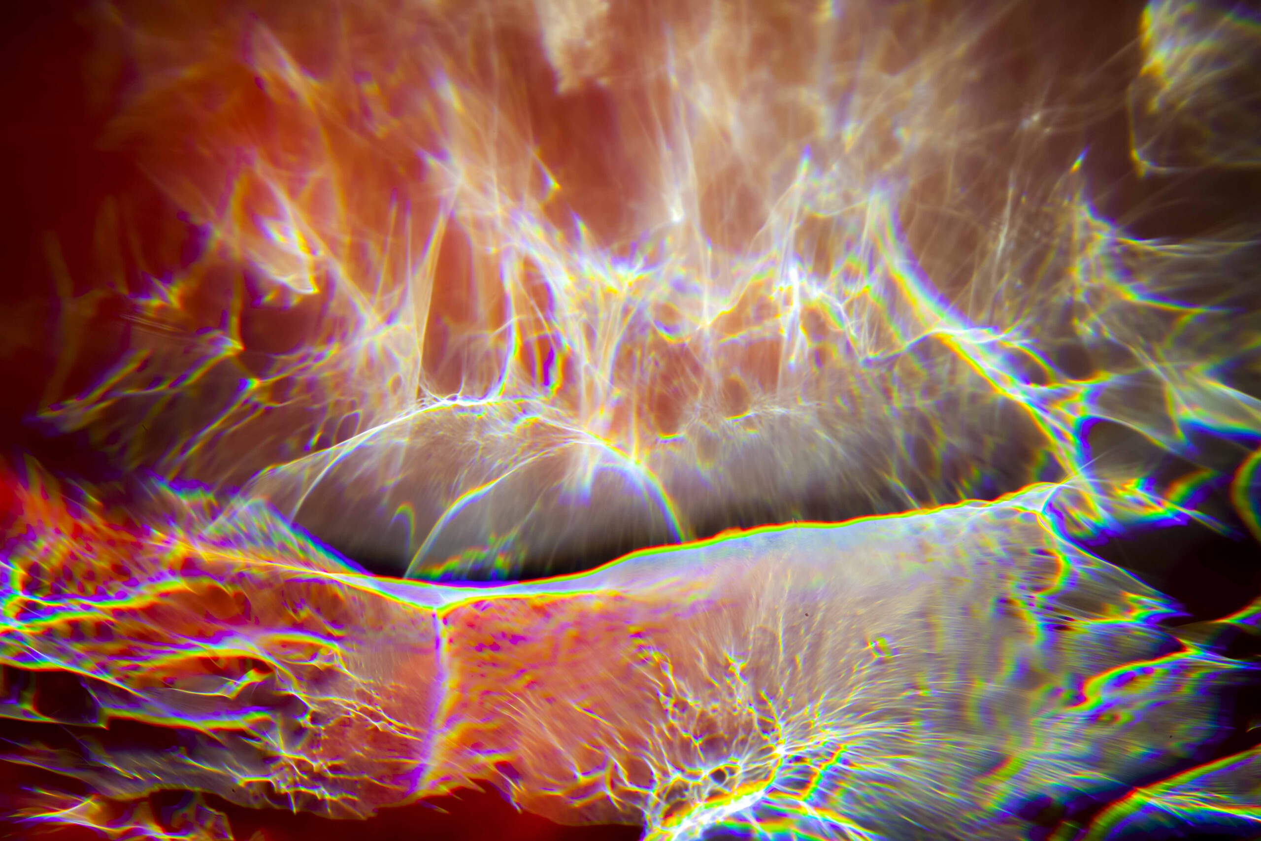 FORMS OF THE FORMLESS