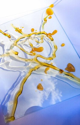 FORMS OF THE FORMLESS