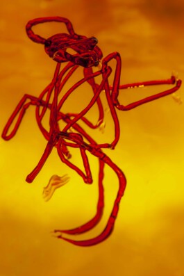 FORMS OF THE FORMLESS