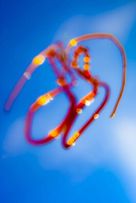 FORMS OF THE FORMLESS