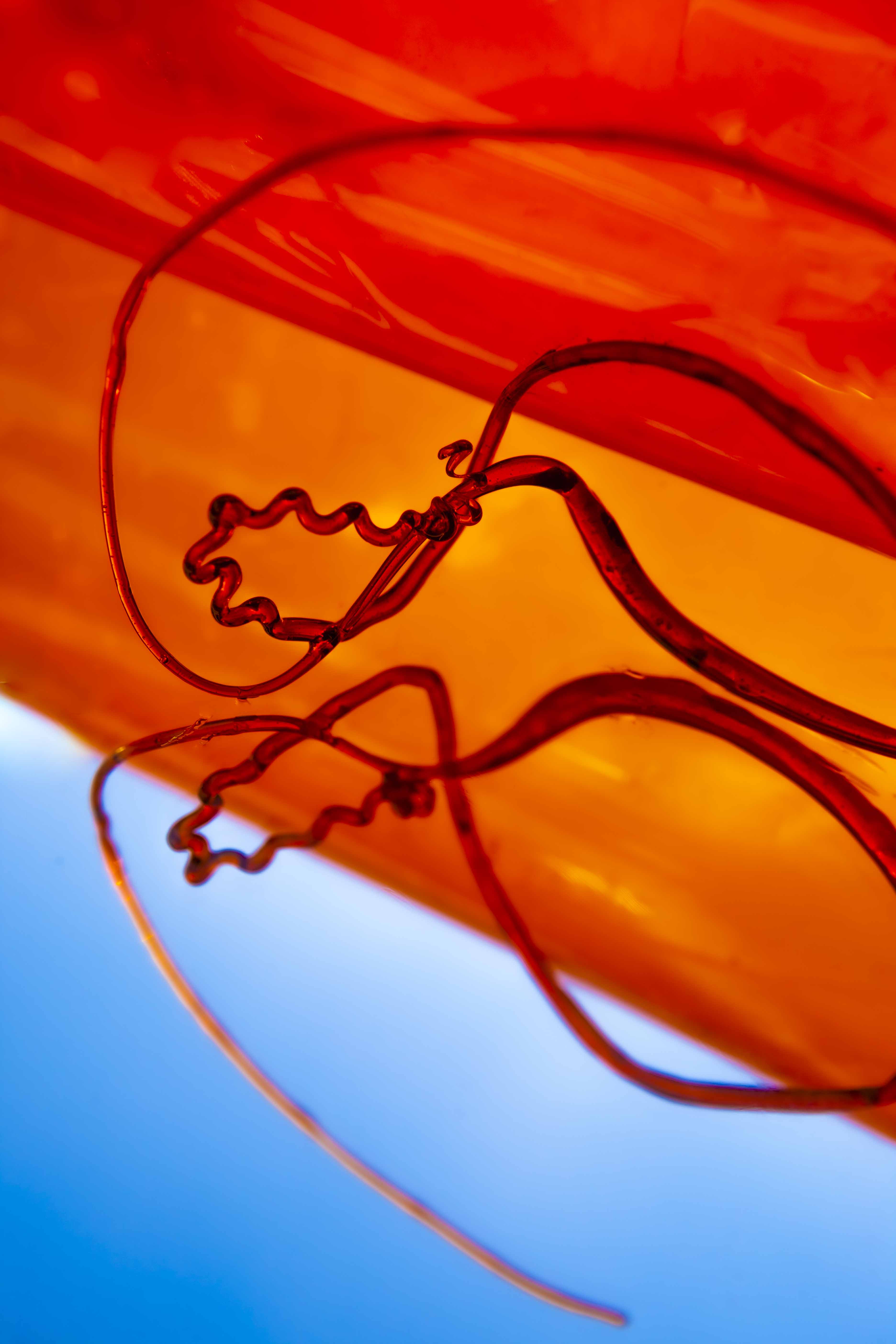 FORMS OF THE FORMLESS