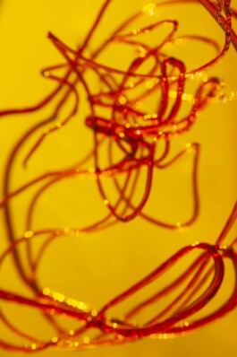 FORMS OF THE FORMLESS