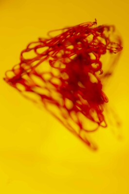 FORMS OF THE FORMLESS