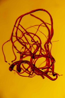 FORMS OF THE FORMLESS