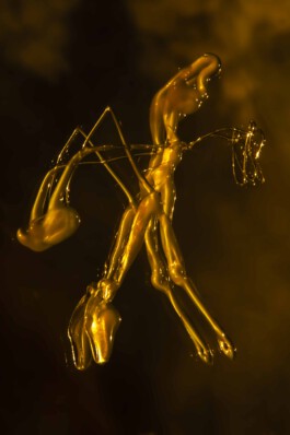 FORMS OF THE FORMLESS