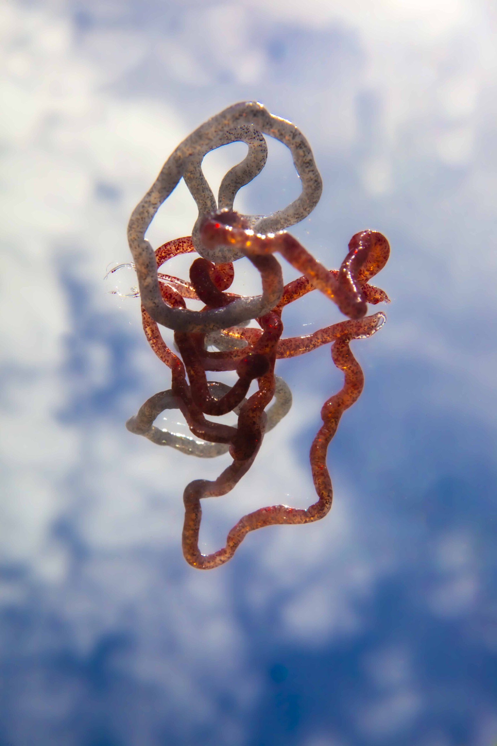 FORMS OF THE FORMLESS