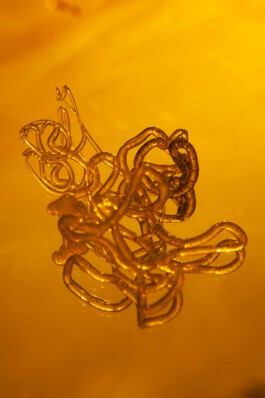 FORMS OF THE FORMLESS