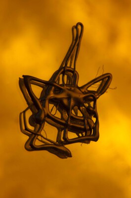 FORMS OF THE FORMLESS