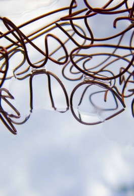 FORMS OF THE FORMLESS