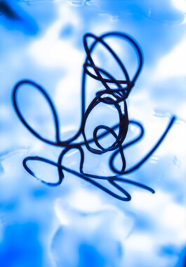 FORMS OF THE FORMLESS