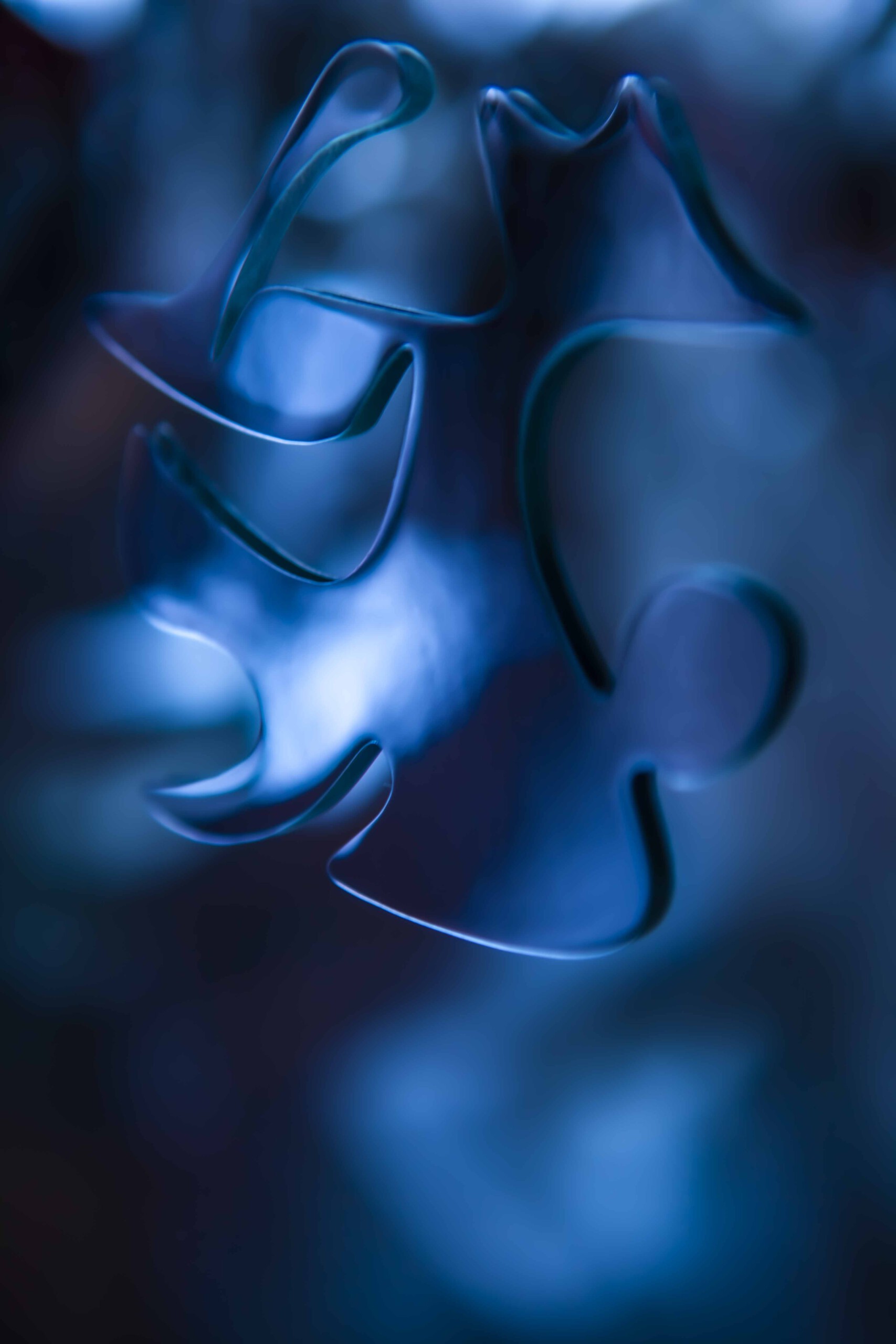 FORMS OF THE FORMLESS