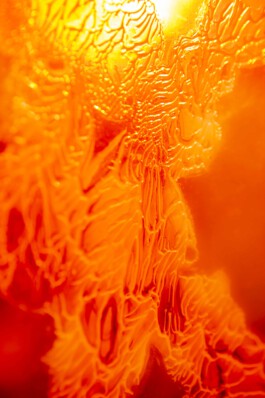 FORMS OF THE FORMLESS