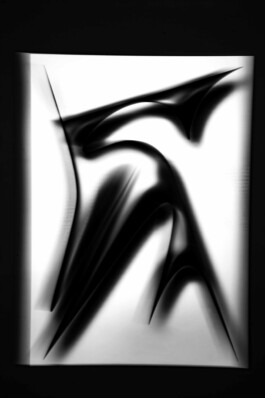 FORMS OF THE FORMLESS