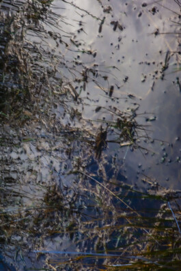 FORMS OF THE FORMLESS