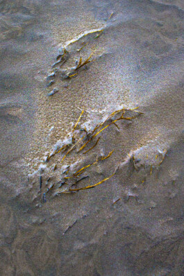 FORMS OF THE FORMLESS