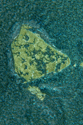 FORMS OF THE FORMLESS